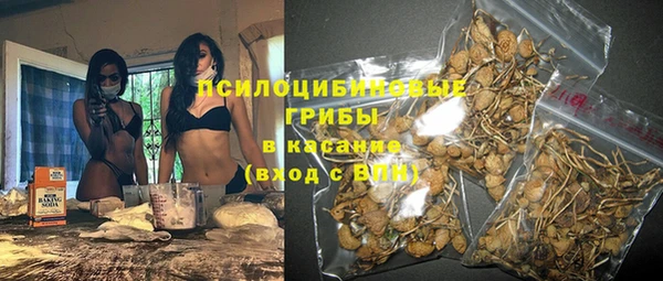 кокс Алзамай