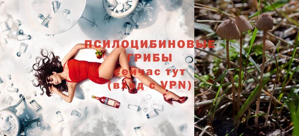 кокс Алзамай